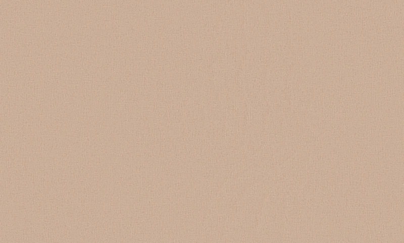 Обои TC72704-22 /Trend Color/Россия (1,06*10м обои винил флиз) фото